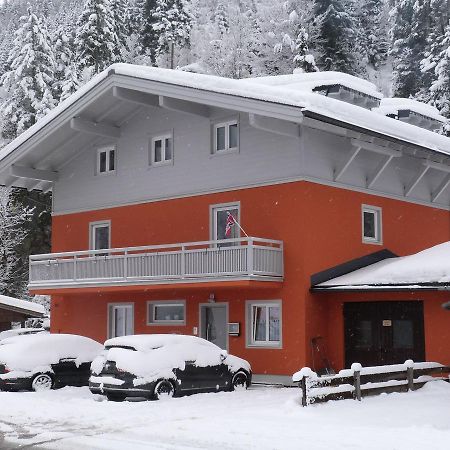 Alpen Appartements Viehhofen - Incl Sommercard Zell Am See ויהופן מראה חיצוני תמונה