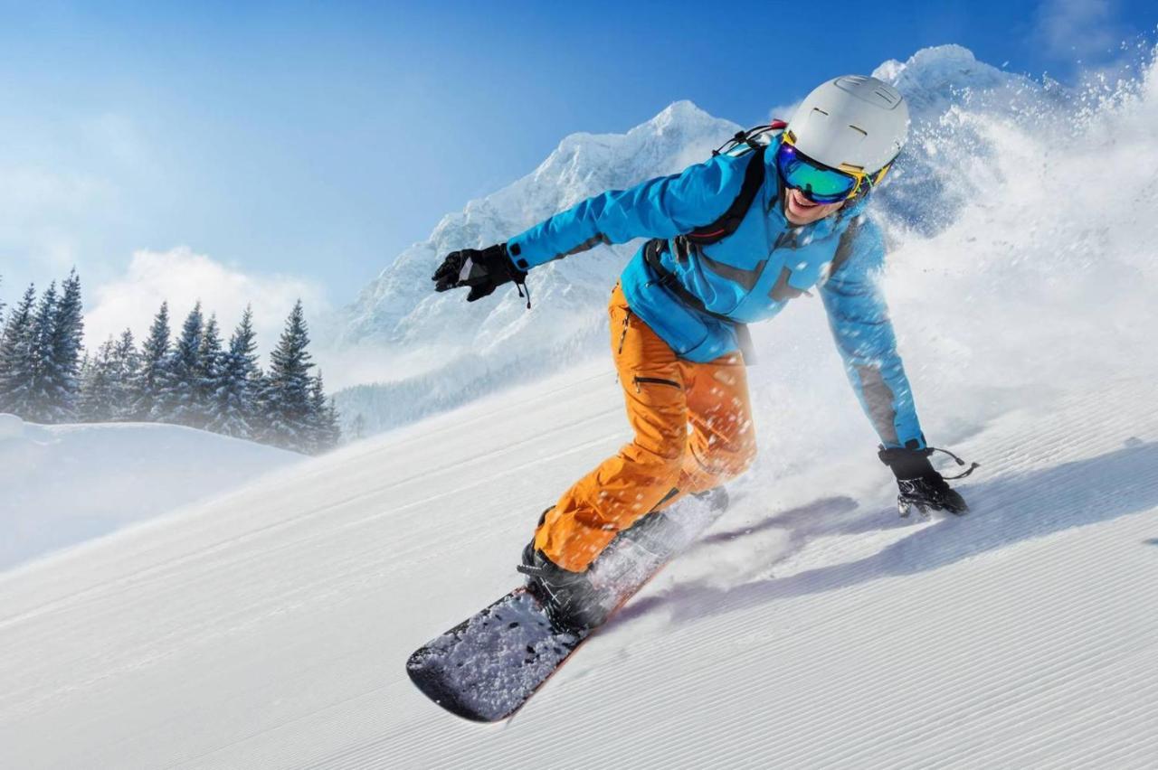 Alpen Appartements Viehhofen - Incl Sommercard Zell Am See ויהופן מראה חיצוני תמונה