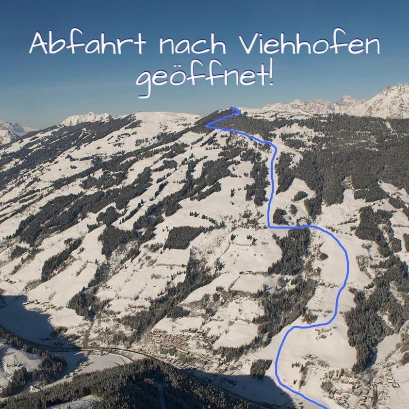 Alpen Appartements Viehhofen - Incl Sommercard Zell Am See ויהופן מראה חיצוני תמונה