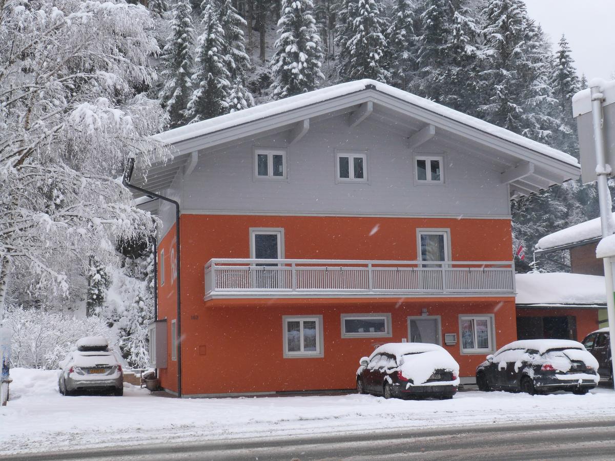 Alpen Appartements Viehhofen - Incl Sommercard Zell Am See ויהופן מראה חיצוני תמונה
