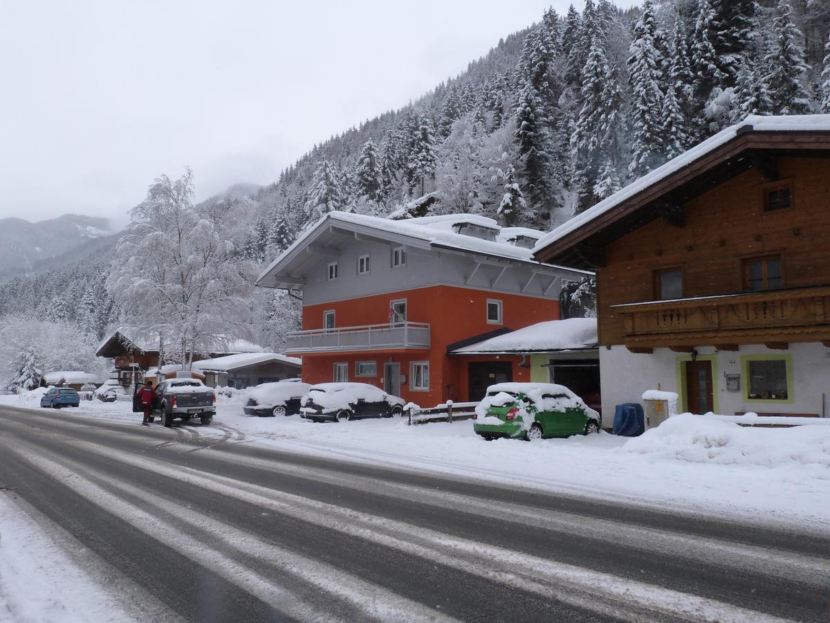 Alpen Appartements Viehhofen - Incl Sommercard Zell Am See ויהופן מראה חיצוני תמונה