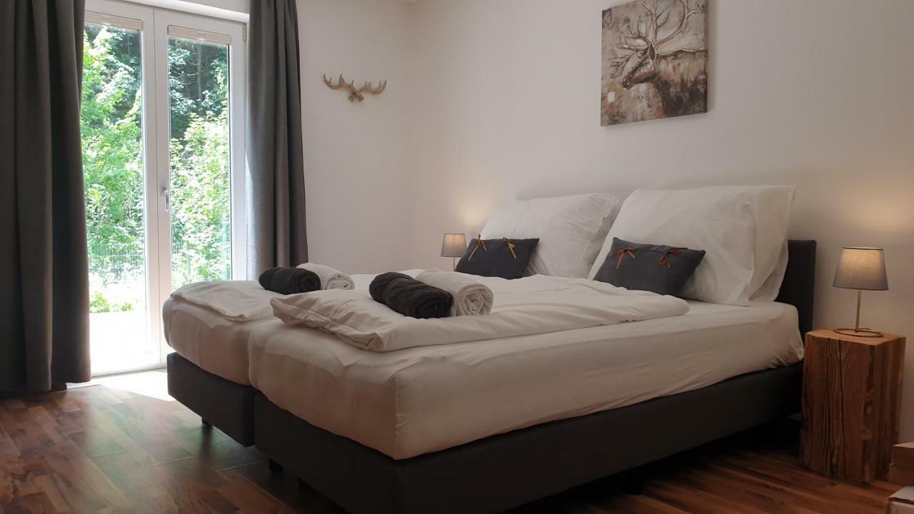 Alpen Appartements Viehhofen - Incl Sommercard Zell Am See ויהופן מראה חיצוני תמונה